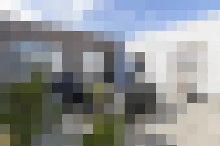 Jan van Gentstraat 11 Petten thumbnail 26