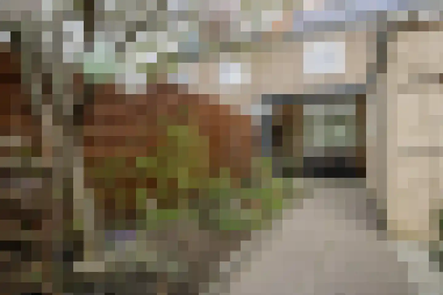 Jan van Gentstraat 33 Badhoevedorp thumbnail 17