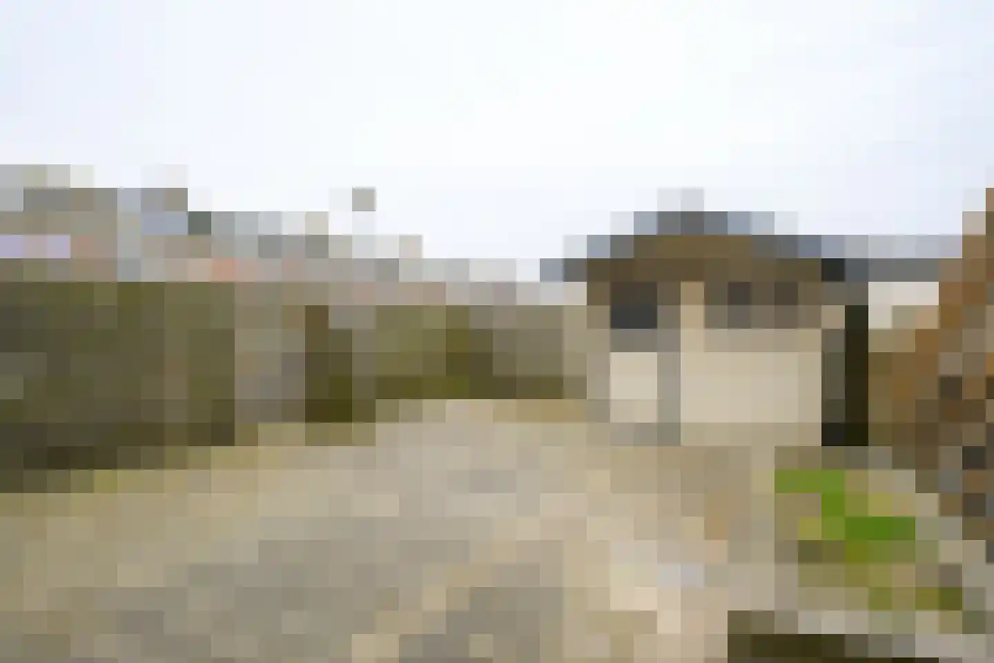 Jan van Gentstraat 40 Petten thumbnail 14
