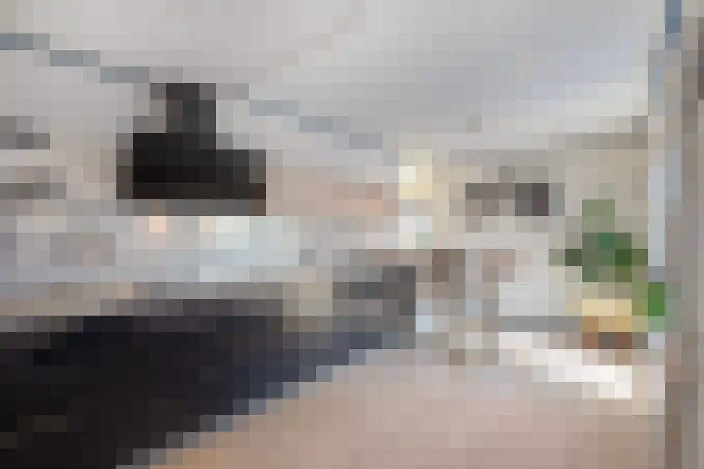 Jan van Gentstraat 46 Petten thumbnail 13