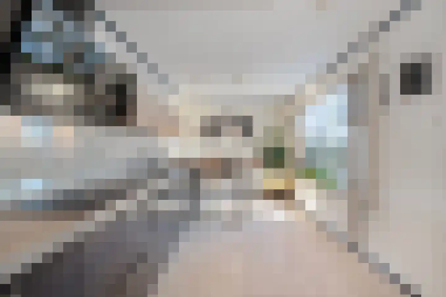 Jan van Gentstraat 46 Petten thumbnail 15