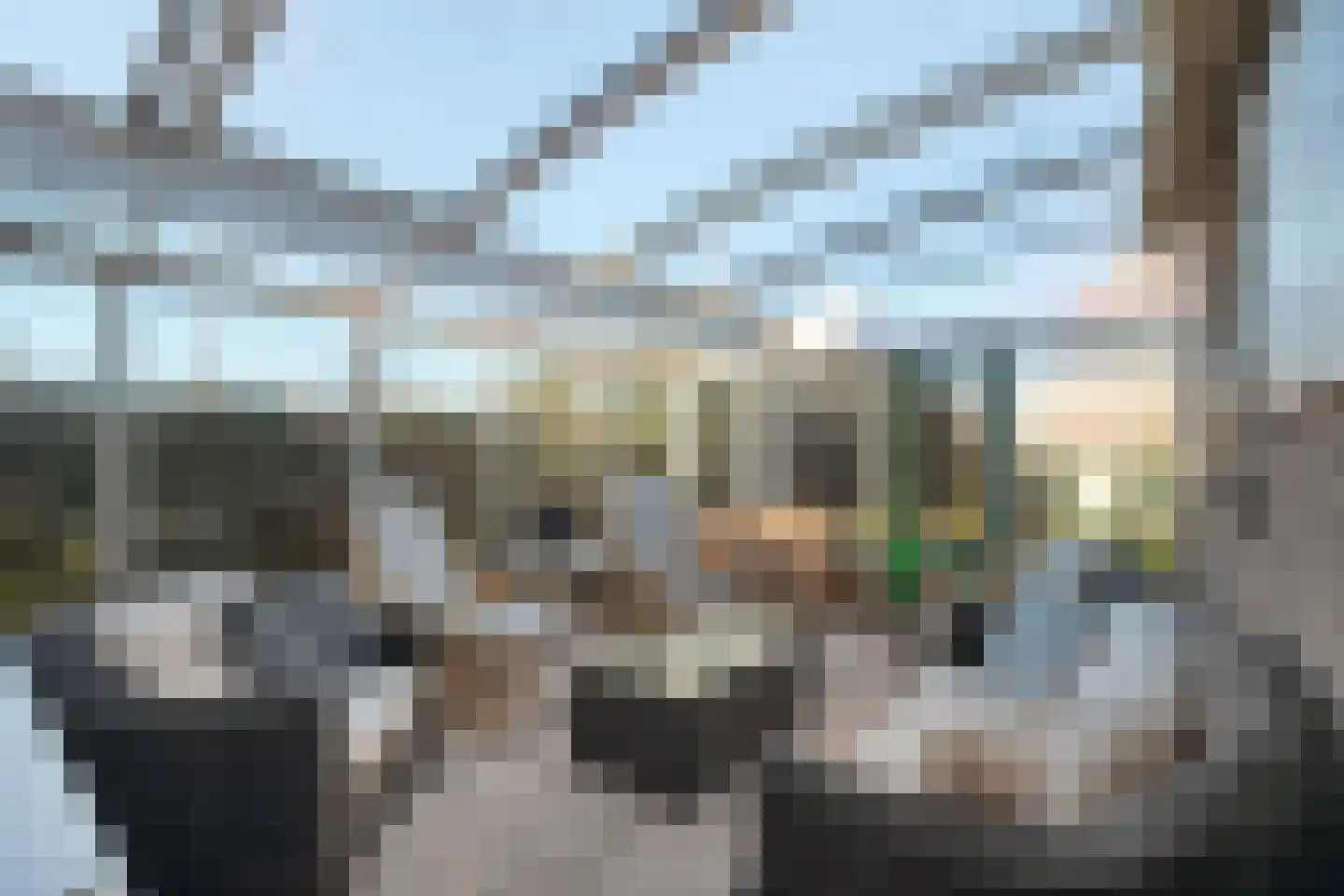 Jan van Gentstraat 46 Petten thumbnail 27