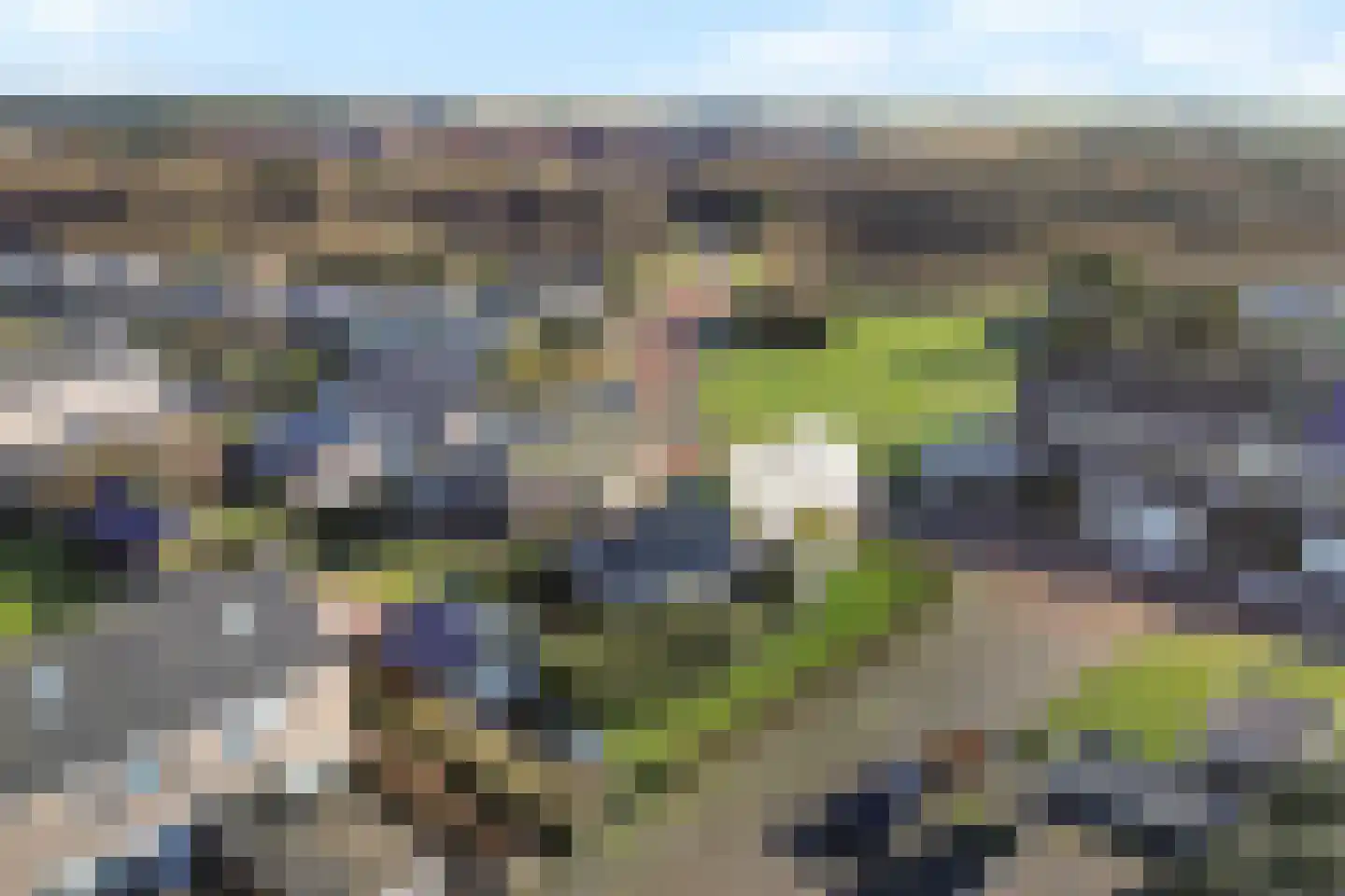 Jan van Gentstraat 46 Petten thumbnail 32