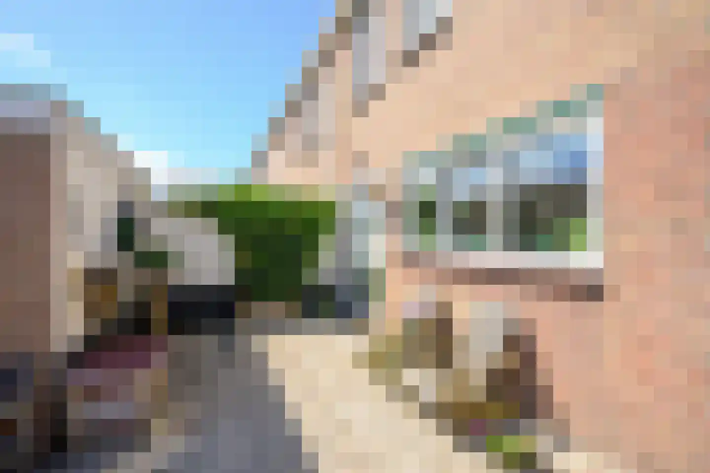 Jan van Gentstraat 6 Petten thumbnail 5