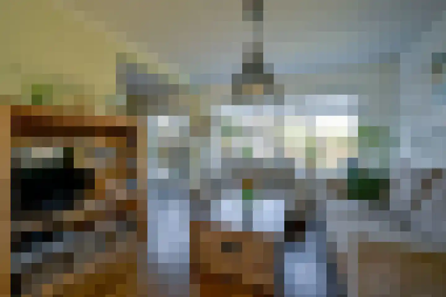 Jan van Gentstraat 6 Petten thumbnail 7