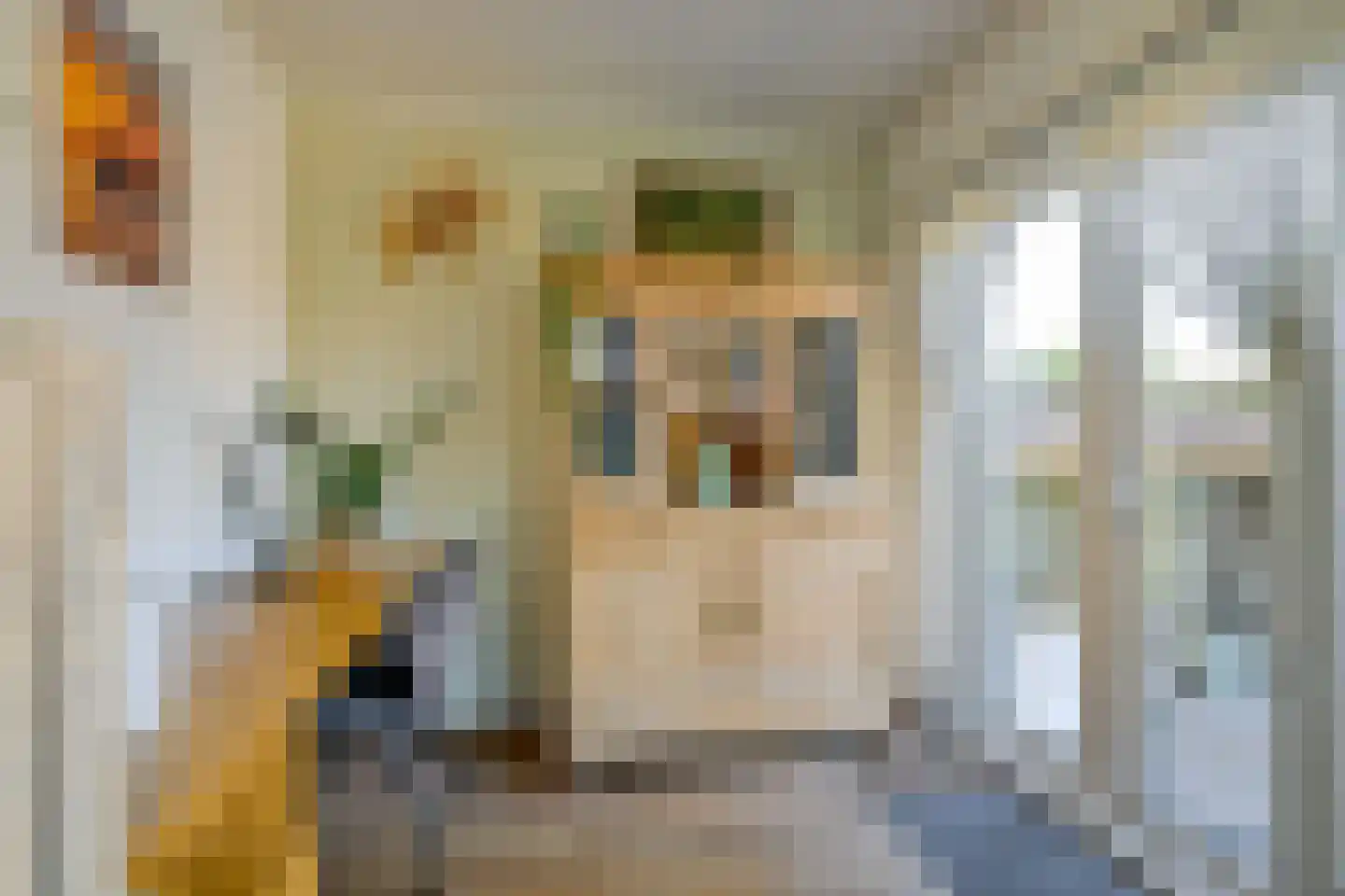 Jan van Gentstraat 6 Petten thumbnail 8