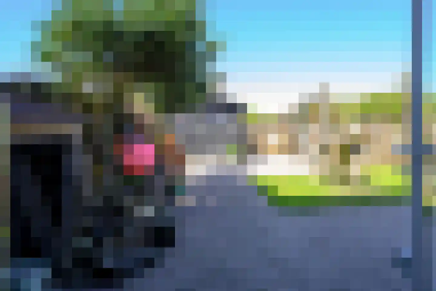 Jan van Gentstraat 6 Petten thumbnail 9