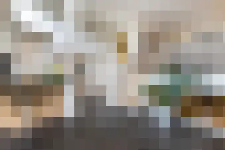 Jan van Ghestellaan 42 Rotterdam thumbnail 38