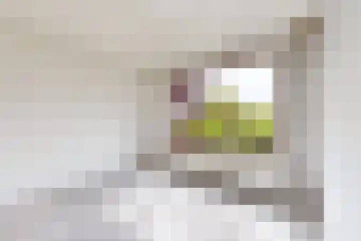 Jan van Glymesstraat 17 Fijnaart thumbnail 10