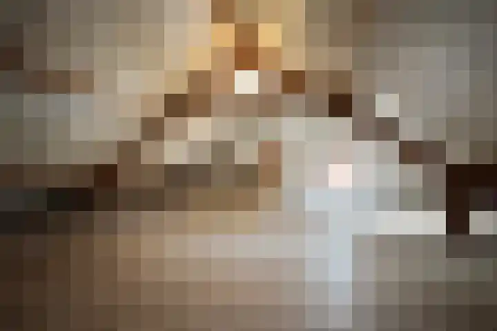 Jan van Glymesstraat 17 Fijnaart thumbnail 40