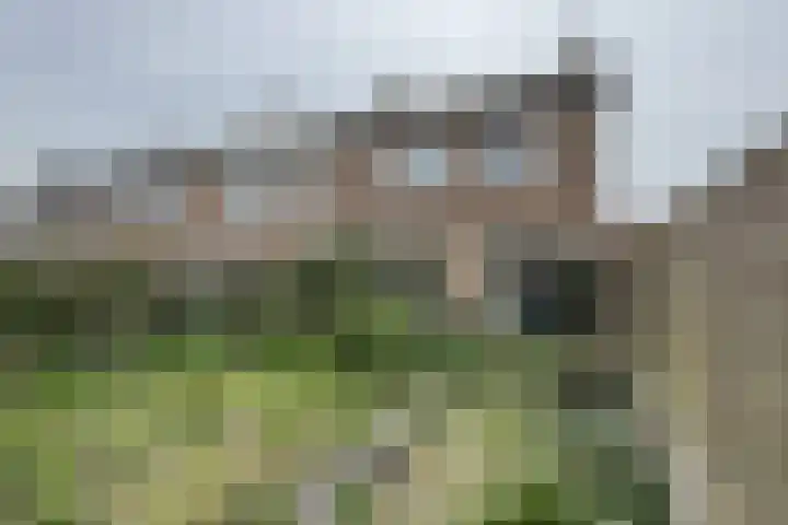 Jan van Glymesstraat 17 Fijnaart thumbnail 42