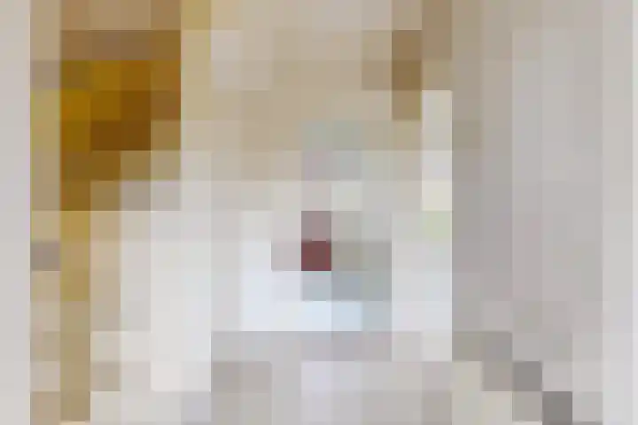 Jan van Glymesstraat 17 Fijnaart thumbnail 7