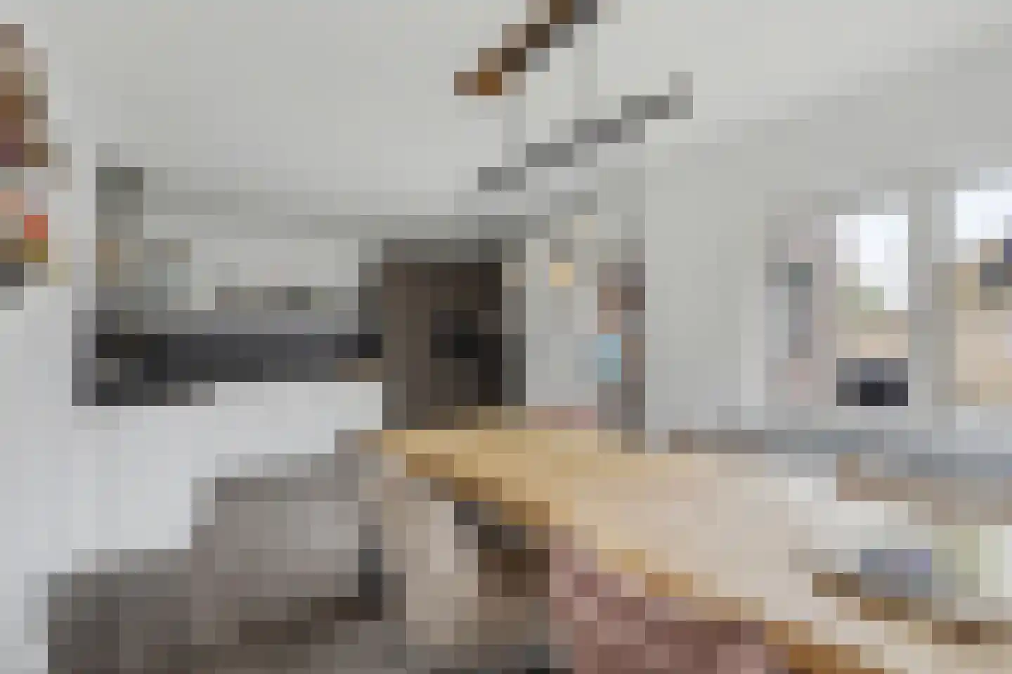 Jan van Glymesstraat 2 Fijnaart thumbnail 12