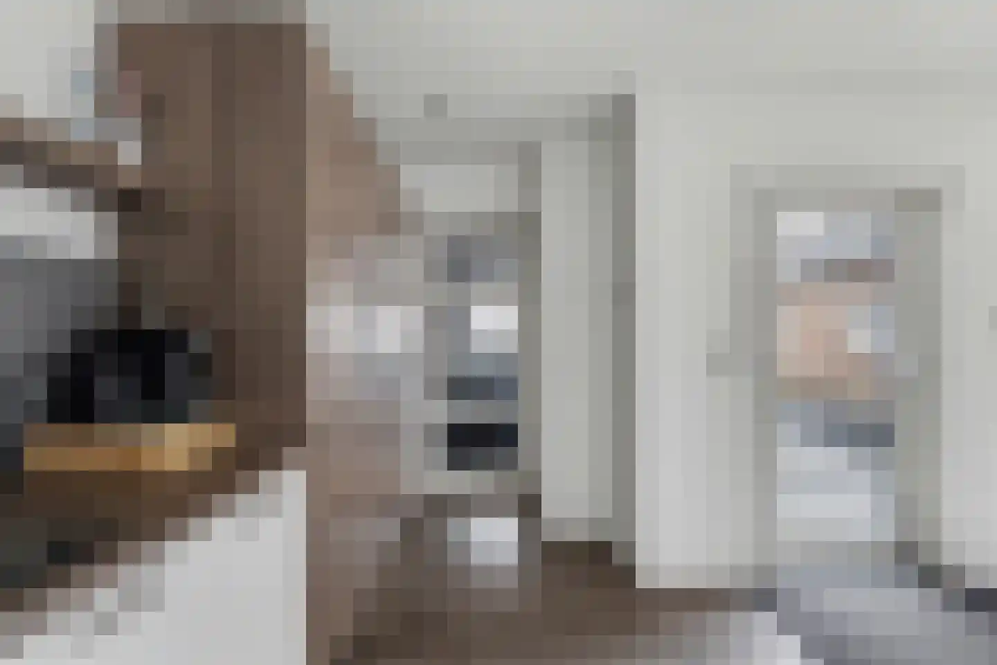 Jan van Glymesstraat 2 Fijnaart thumbnail 16