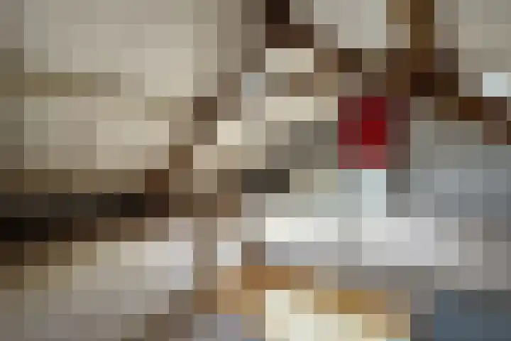Jan van Glymesstraat 21 Fijnaart thumbnail 41