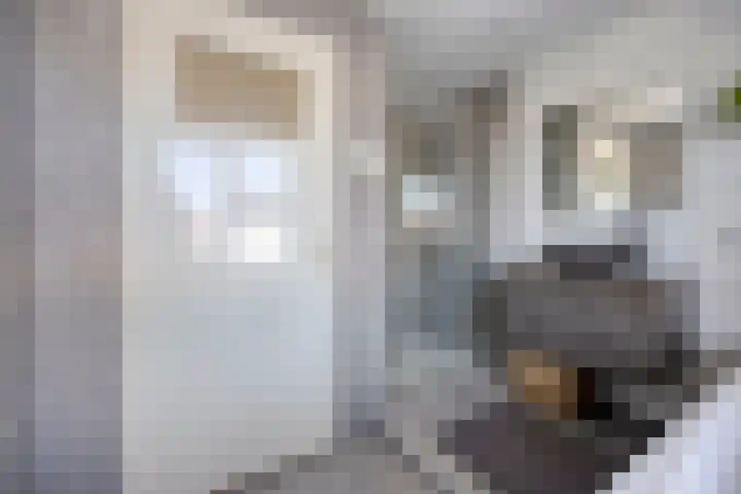 Jan van Glymesstraat 31 Fijnaart thumbnail 6