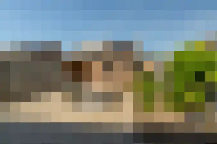 Jan van Glymesstraat 35 Fijnaart thumbnail 15