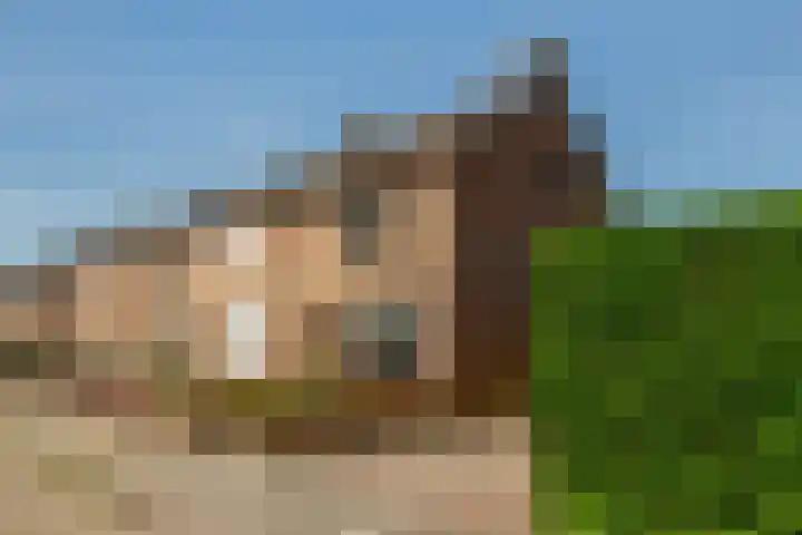 Jan van Glymesstraat 35 Fijnaart thumbnail 34