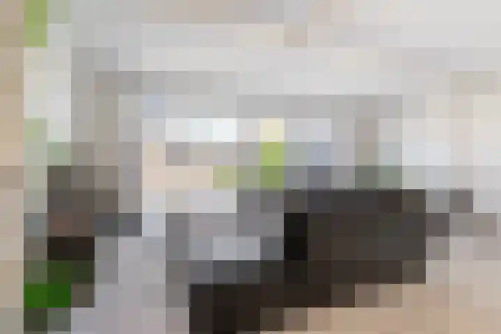 Jan van Glymesstraat 35 Fijnaart thumbnail 7