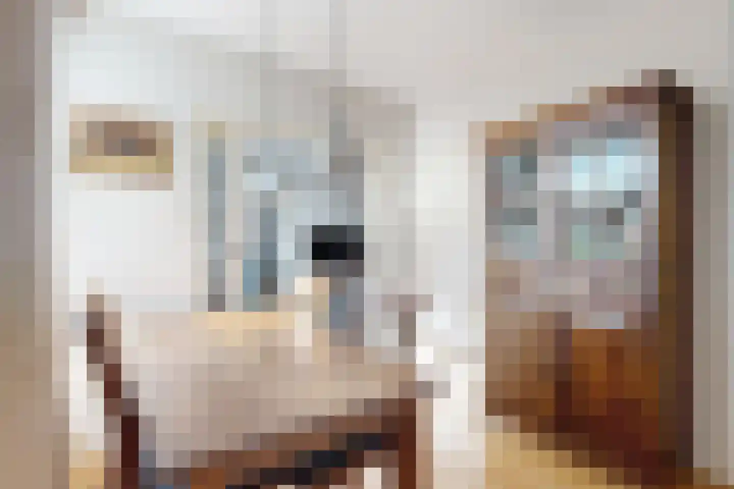 Jan van Glymesstraat 6 Fijnaart thumbnail 19