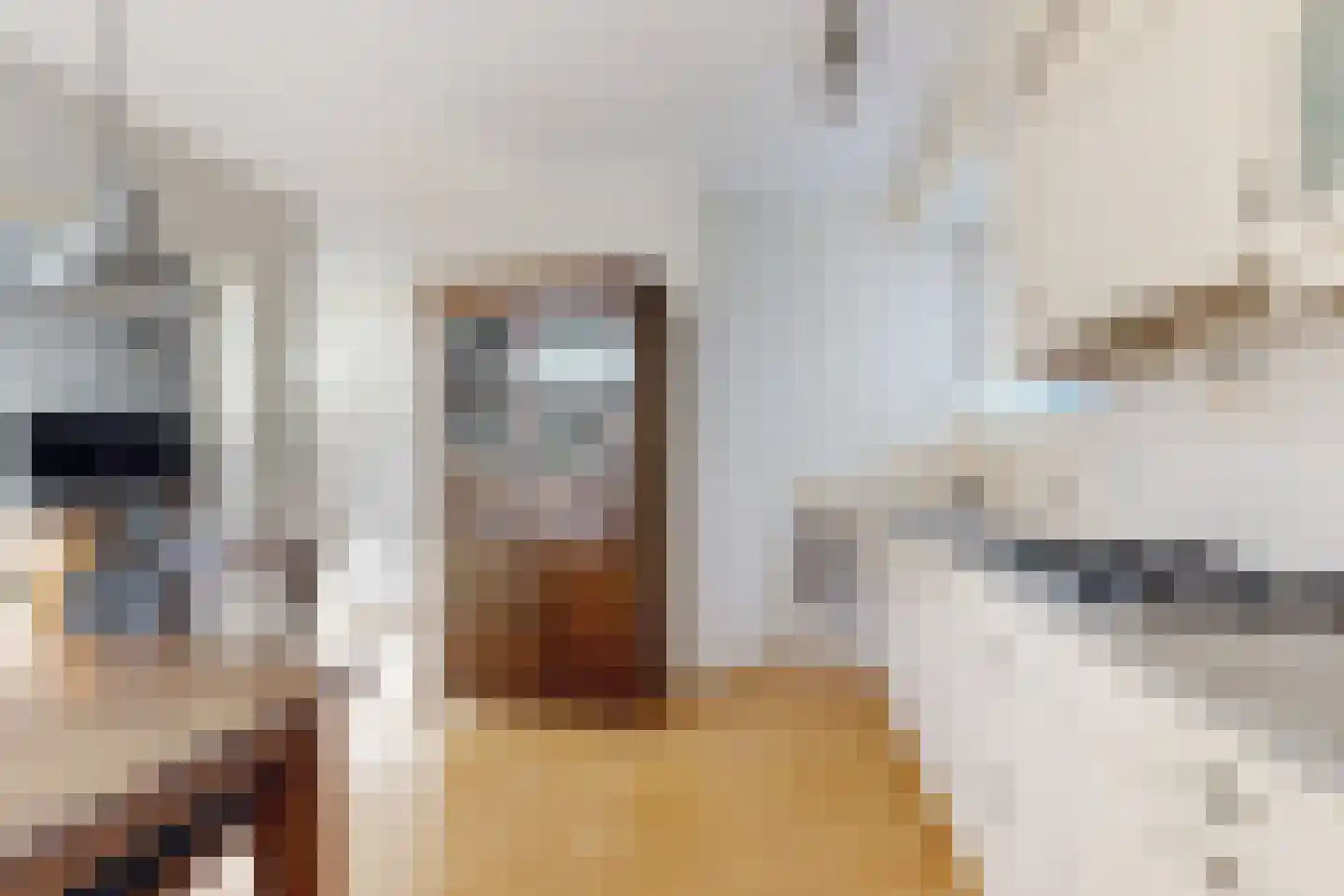Jan van Glymesstraat 6 Fijnaart thumbnail 21