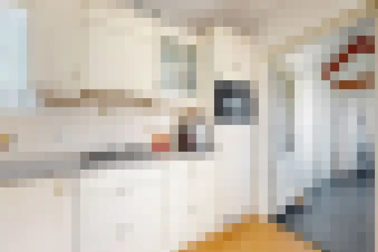 Jan van Glymesstraat 6 Fijnaart thumbnail 23