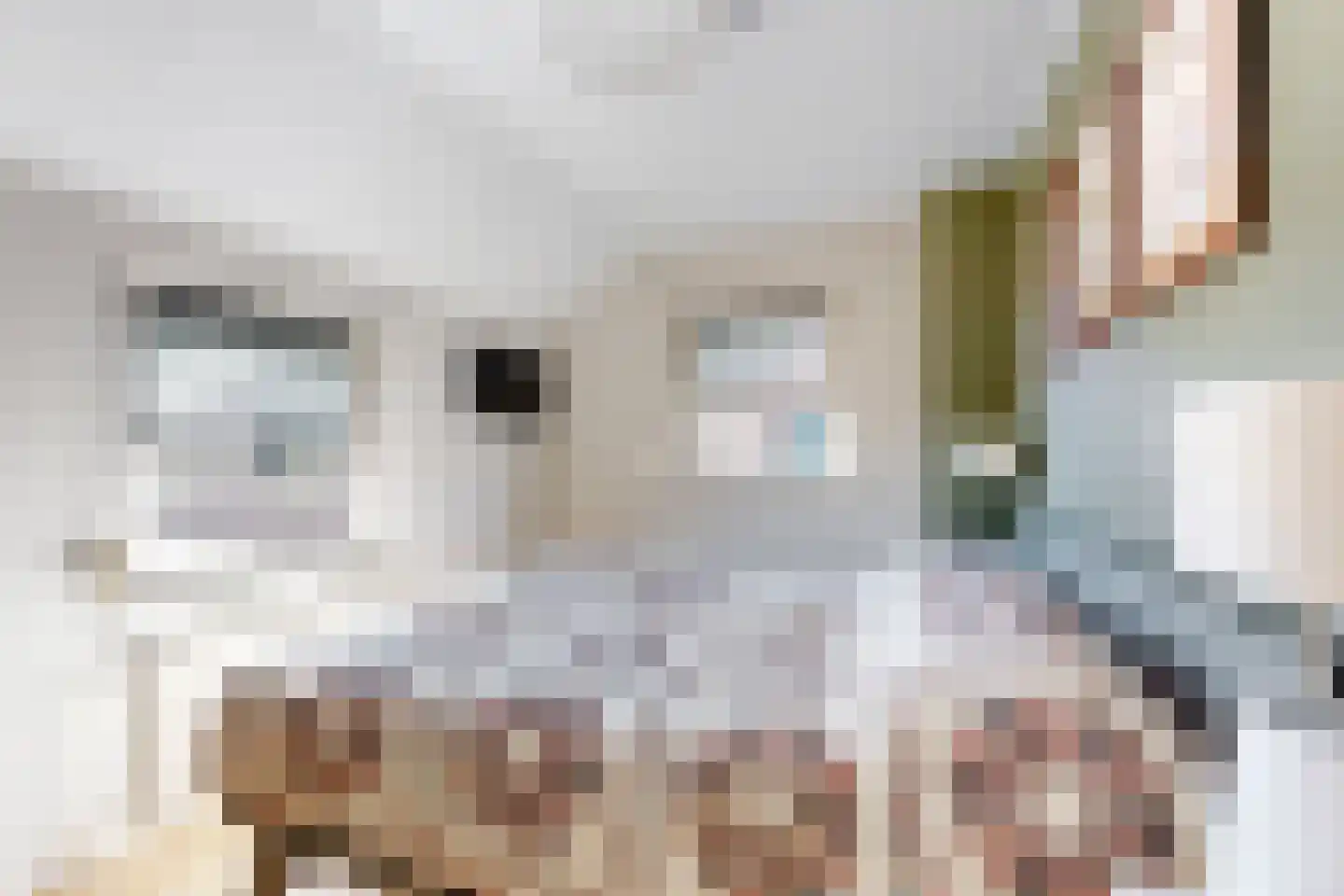 Jan van Glymesstraat 6 Fijnaart thumbnail 31