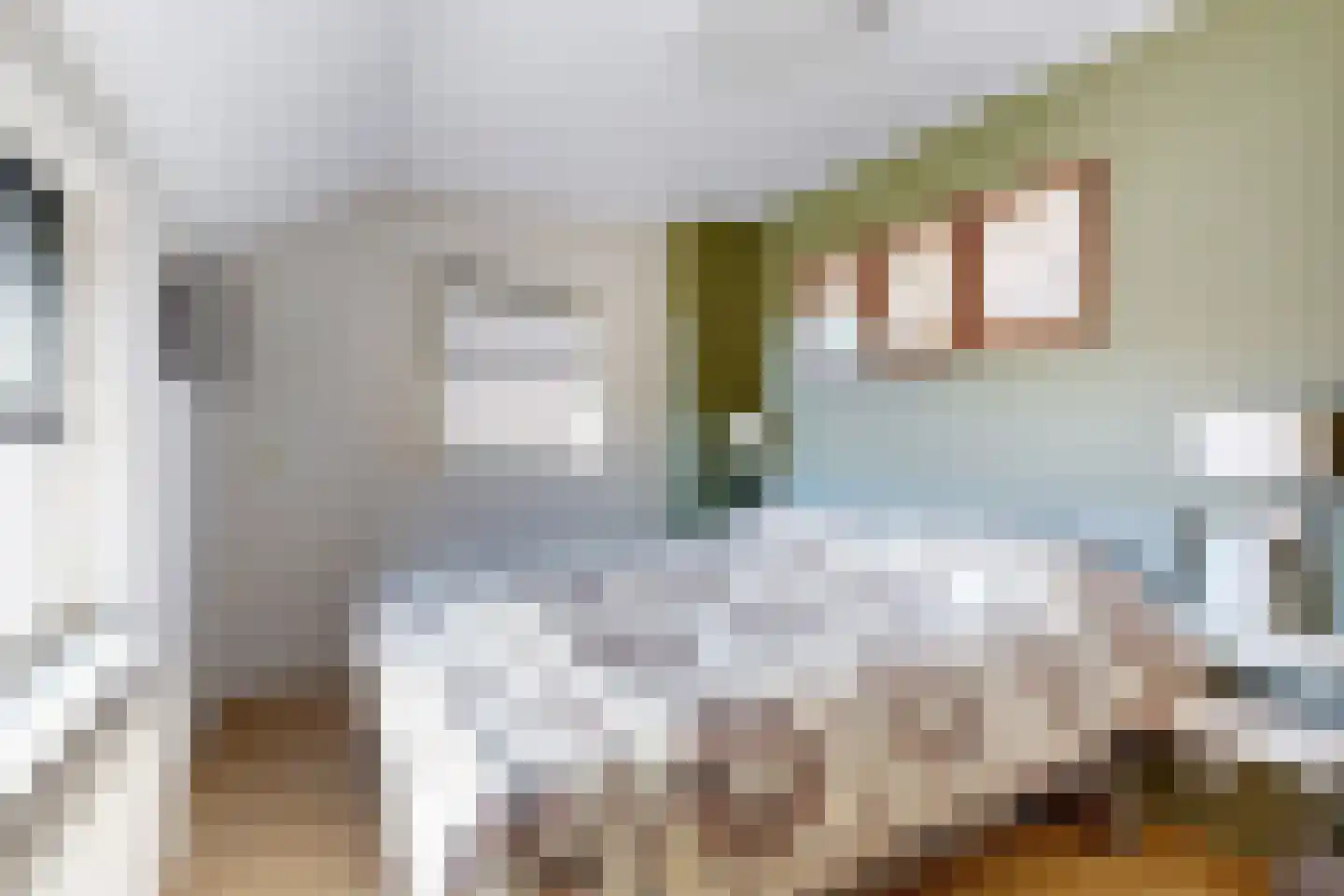 Jan van Glymesstraat 6 Fijnaart thumbnail 5