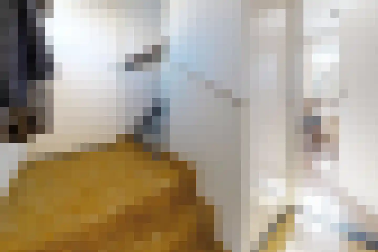 Jan van Glymesstraat 6 Fijnaart thumbnail 8