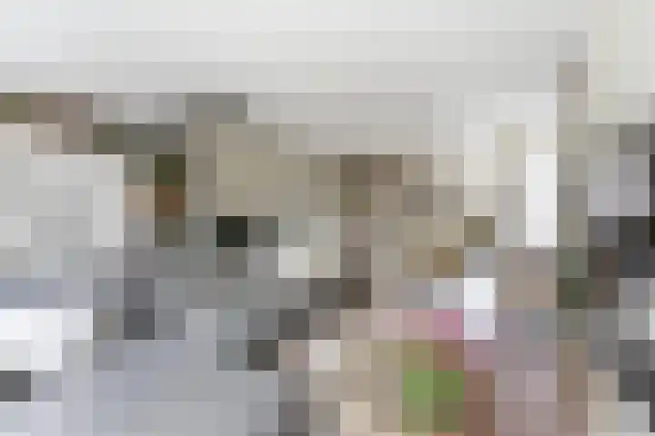 Jan van Goijenlaan 17 Hendrik-Ido-Ambacht thumbnail 10