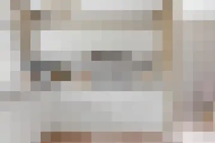 Jan van Goijenlaan 17 Hendrik-Ido-Ambacht thumbnail 13