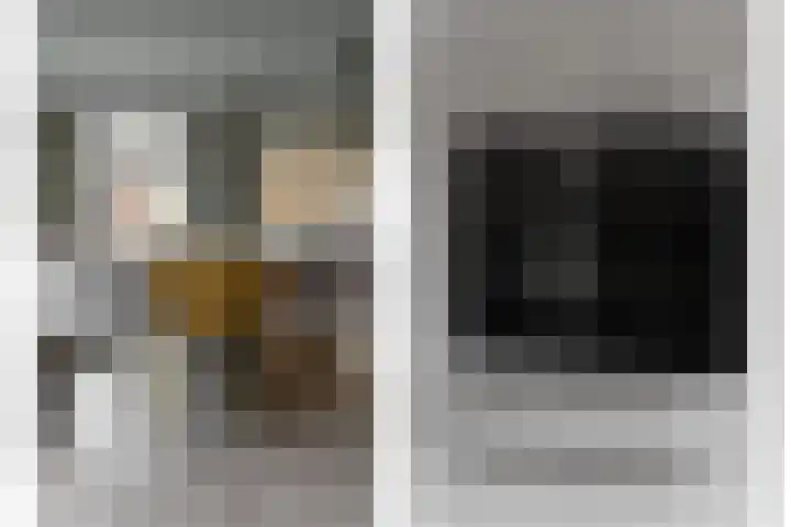 Jan van Goijenlaan 17 Hendrik-Ido-Ambacht thumbnail 15