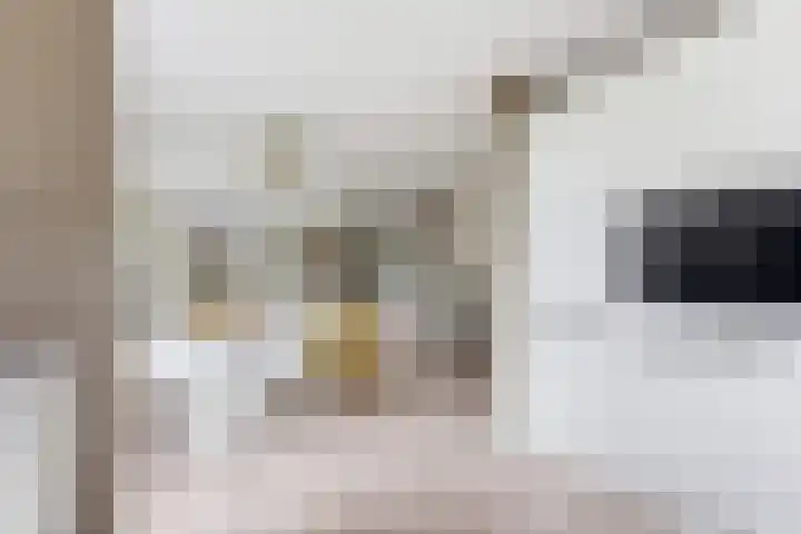 Jan van Goijenlaan 17 Hendrik-Ido-Ambacht thumbnail 16