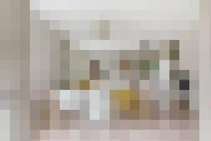 Jan van Goijenlaan 17 Hendrik-Ido-Ambacht thumbnail 17