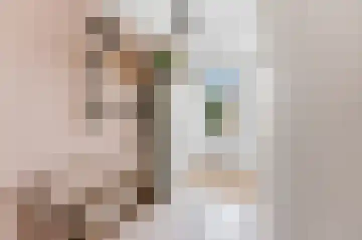Jan van Goijenlaan 17 Hendrik-Ido-Ambacht thumbnail 18