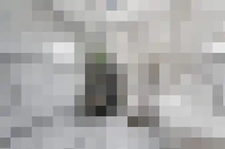 Jan van Goijenlaan 17 Hendrik-Ido-Ambacht thumbnail 19
