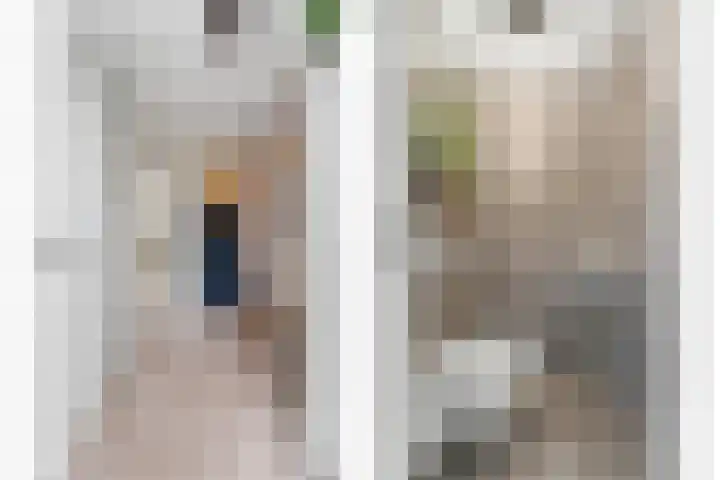 Jan van Goijenlaan 17 Hendrik-Ido-Ambacht foto 2