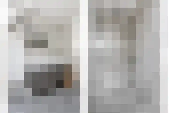 Jan van Goijenlaan 17 Hendrik-Ido-Ambacht thumbnail 20