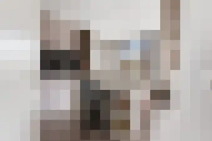 Jan van Goijenlaan 17 Hendrik-Ido-Ambacht thumbnail 21