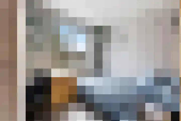 Jan van Goijenlaan 17 Hendrik-Ido-Ambacht thumbnail 23