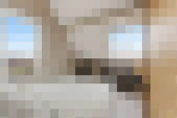 Jan van Goijenlaan 17 Hendrik-Ido-Ambacht thumbnail 26