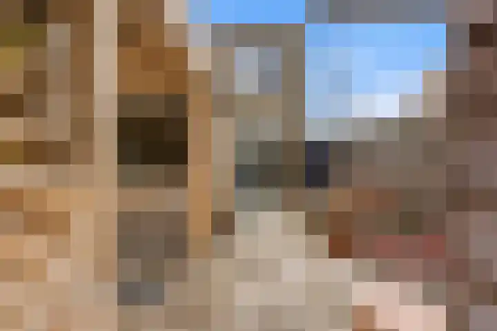 Jan van Goijenlaan 17 Hendrik-Ido-Ambacht thumbnail 28