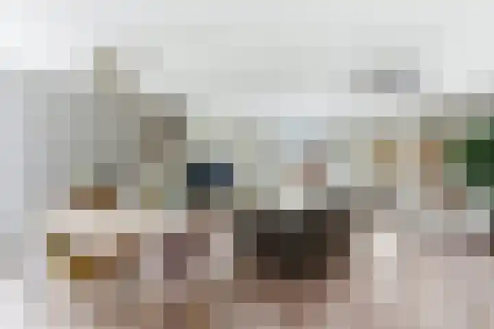 Jan van Goijenlaan 17 Hendrik-Ido-Ambacht foto 3