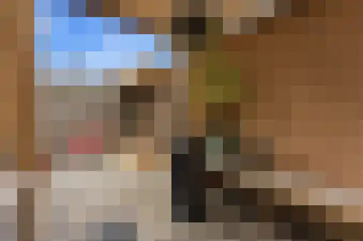 Jan van Goijenlaan 17 Hendrik-Ido-Ambacht thumbnail 30
