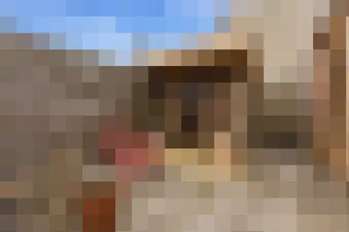 Jan van Goijenlaan 17 Hendrik-Ido-Ambacht thumbnail 31