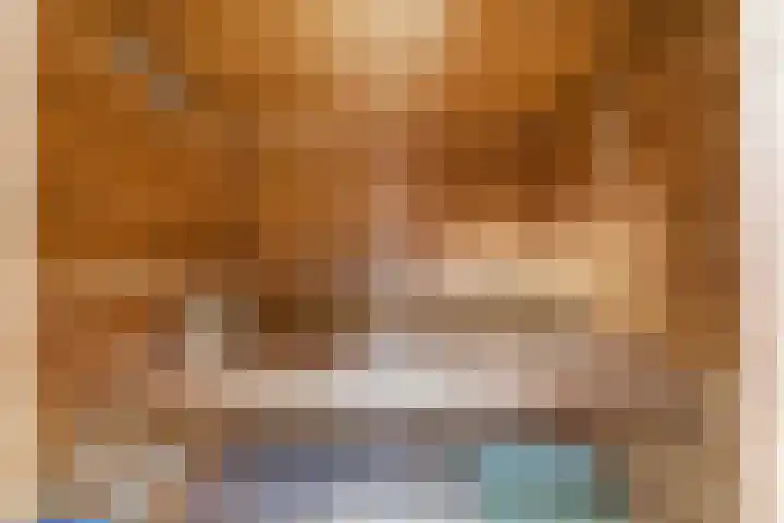 Jan van Goijenlaan 17 Hendrik-Ido-Ambacht thumbnail 32