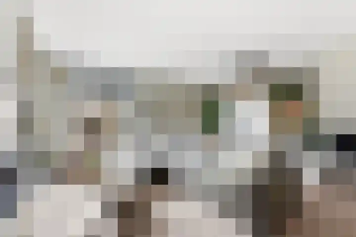 Jan van Goijenlaan 17 Hendrik-Ido-Ambacht thumbnail 4