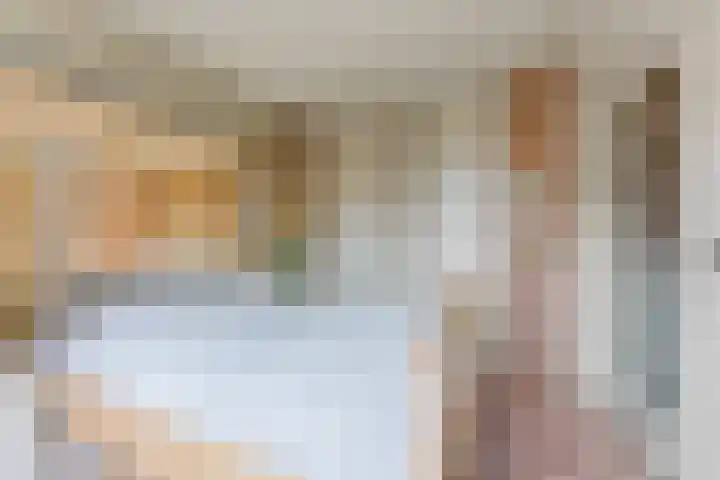 Jan van Goijenlaan 17 Hendrik-Ido-Ambacht thumbnail 7