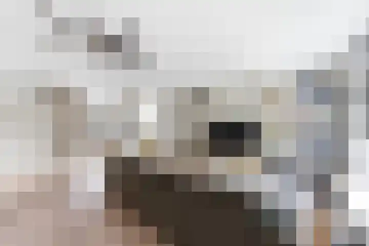 Jan van Goijenlaan 17 Hendrik-Ido-Ambacht thumbnail 9