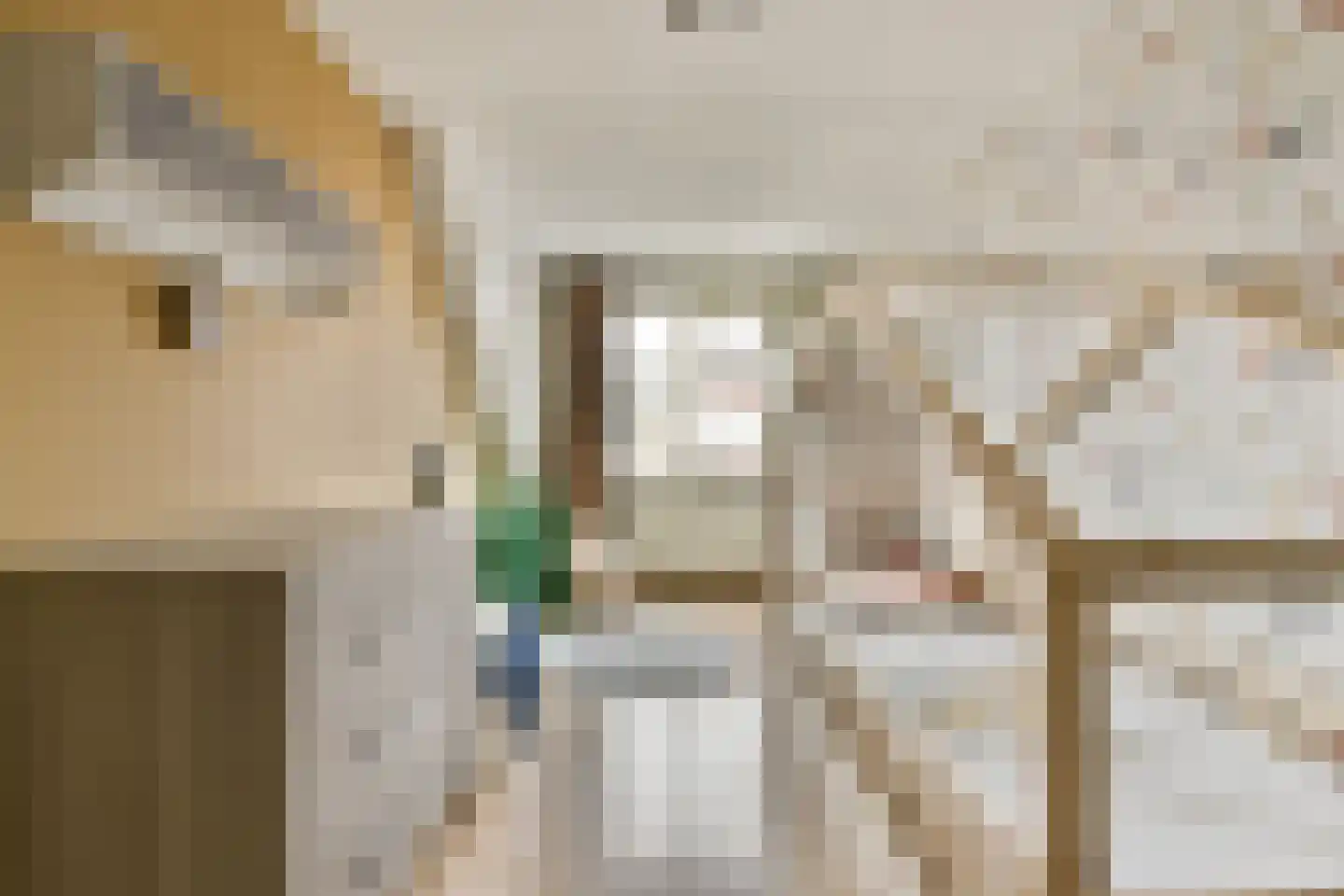 Jan van Goijenlaan 8 Hendrik-Ido-Ambacht thumbnail 12